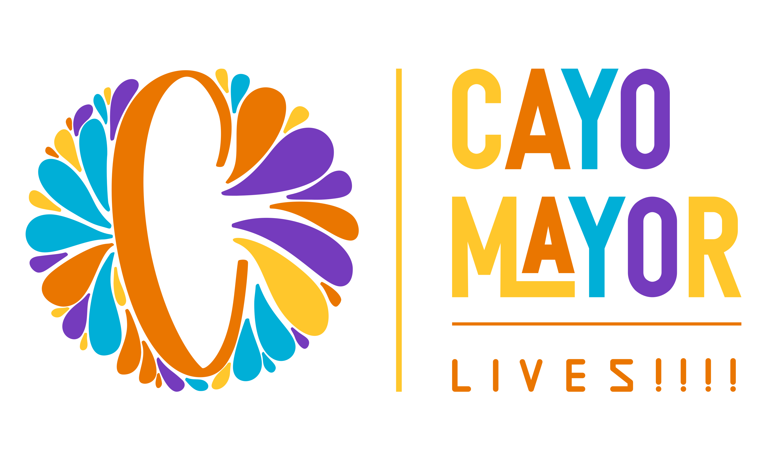 LOGO CAYO MAYOR